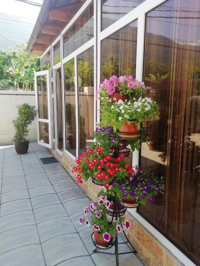 Mini-Hotel Yanson 2 Gagra Ngoại thất bức ảnh